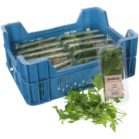 LIVECHE GROSBUSCH 12X20G